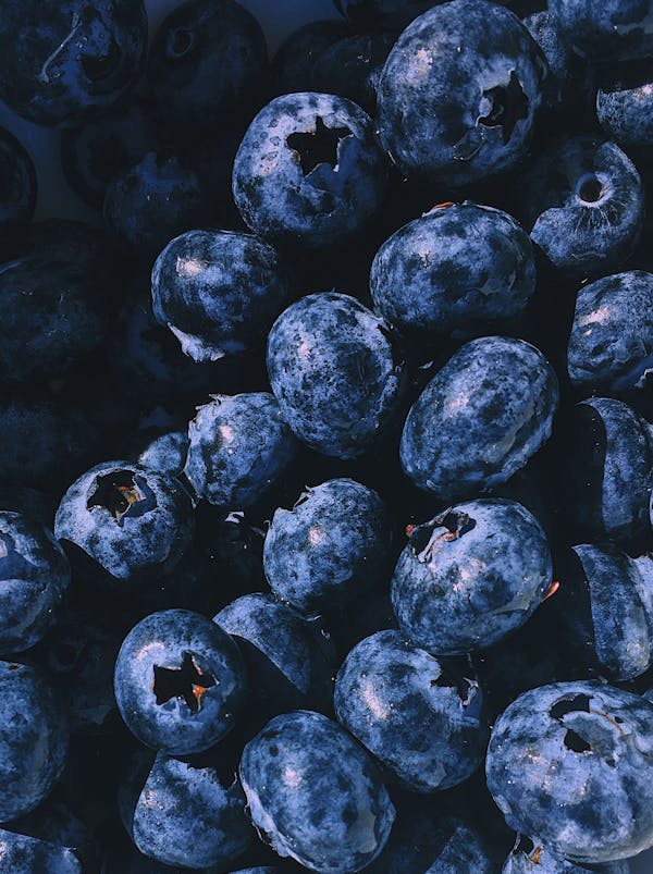 Fresh blueberries